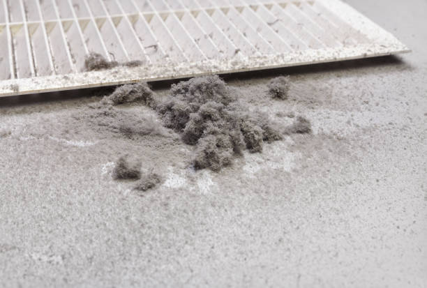 Best Residential Air Duct Cleaning  in Candor, NC