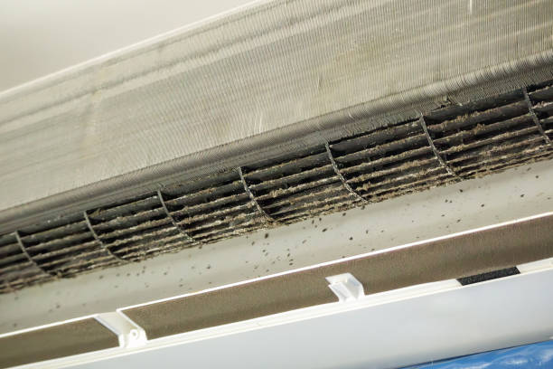 Best Dryer Vent Cleaning Services  in Candor, NC